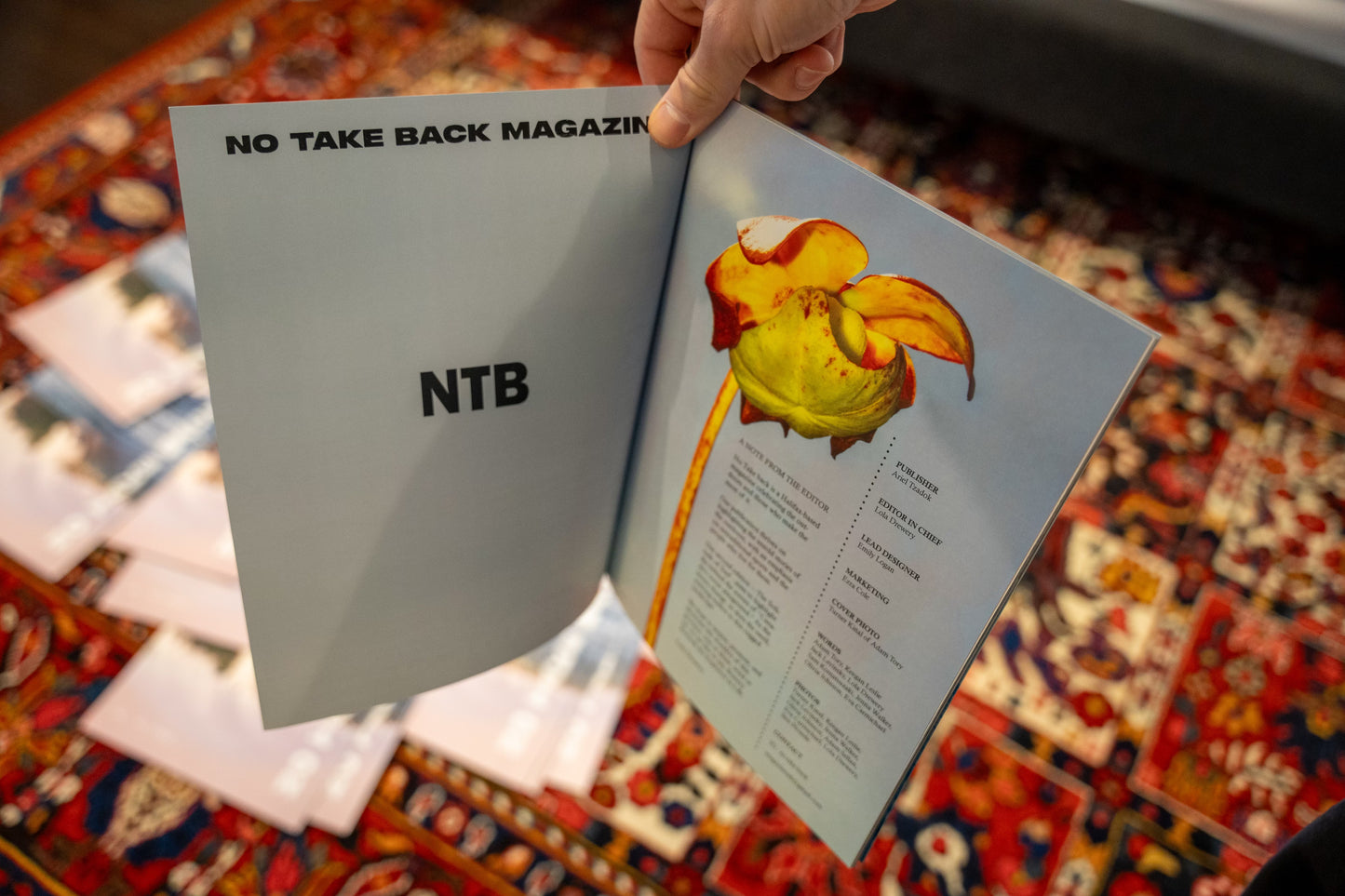 NTB Magazine Fall 2024